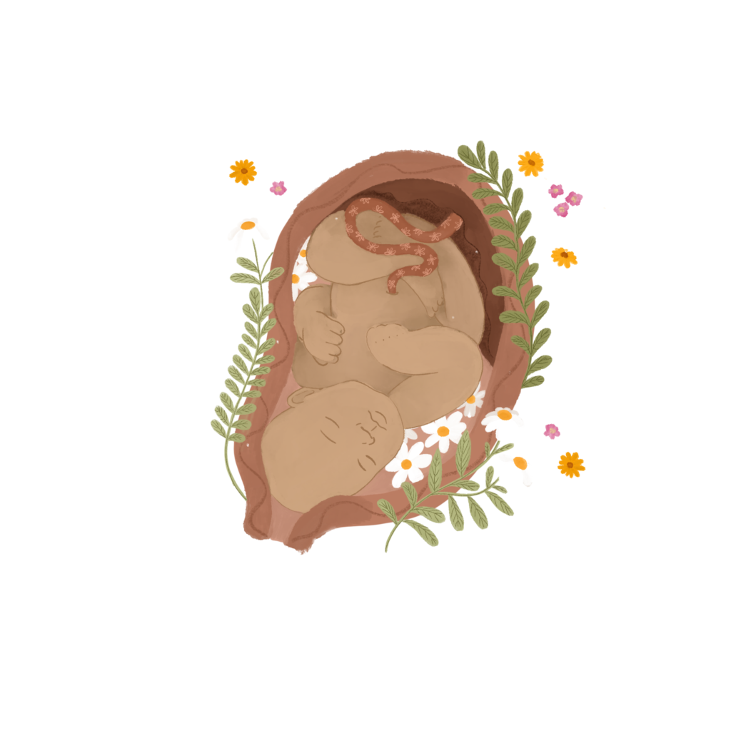 embryo-baarmoeder